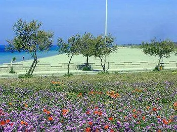La Torre *